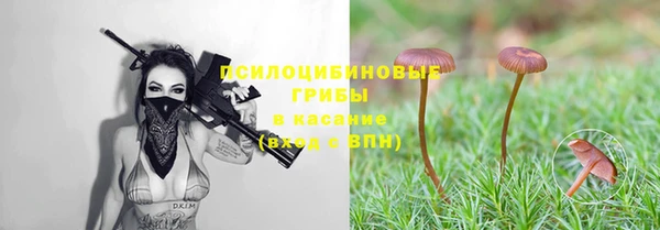 хмурый Беломорск