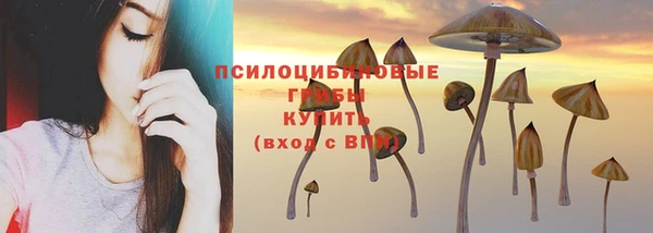 мескалин Белокуриха